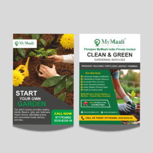 Pamphlet - Multicolor